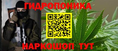 мяу мяу мука Гусь-Хрустальный