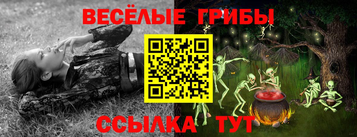 Псилоцибиновые грибы мухоморы  Псилоцибиновые грибы Magic Shrooms  Вход с VPN  Мичуринск 